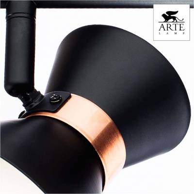 Спот Arte Lamp Baltimore A1406AP-2BK фото