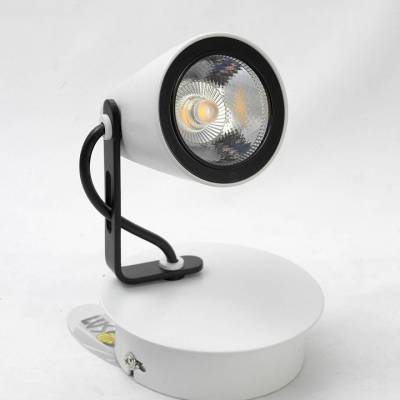 Спот Lussole Merano LSN-4101-01 фото