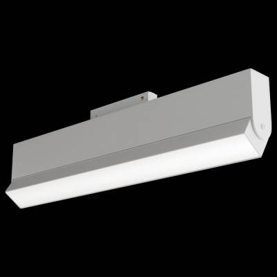 Светильник на штанге Maytoni BASIS TR013-2-20W3K-W фото