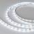 Лента светодиодная Arlight  035698 фото