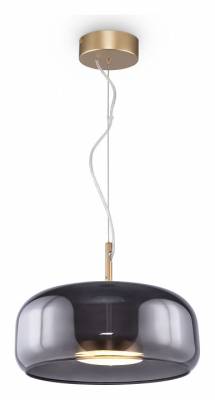 Подвесной светильник Maytoni Madmen MOD127PL-L6SG фото