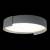 Накладной светильник Loft it Coin 10200 Grey фото