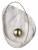 Накладной светильник Loft it Clam 10043 White фото