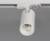 Светильник на штанге Italline TR 3006 TR 3006 white в EL DECO Светильник на штанге Italline TR 3006 TR 3006 white фото