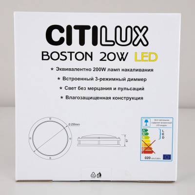 Накладной светильник Citilux Бостон CL709201N фото