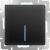 WL08-SW-1G-LED/Выключатель одноклавишный  с подсветкой (черный матовый) фото