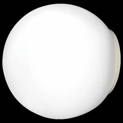 Накладной светильник Lightstar Globo 803010 фото