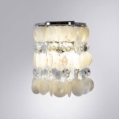 Накладной светильник Arte Lamp Pipirima A4041AP-2CC фото