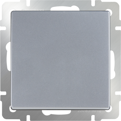 WL06-SW-1G-2W/Выключатель одноклавишный проходной (серебряный) фото