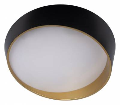 Накладной светильник Loft it Coin 10199 Black фото