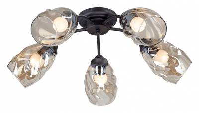 Потолочная люстра Vitaluce 4929 V4929-1/5PL фото