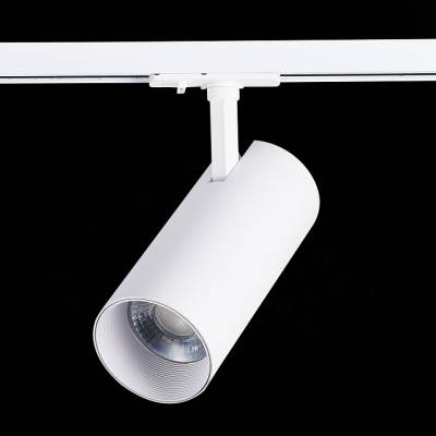 Светильник на штанге ST-Luce Mono ST350.546.30.36 фото