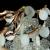Подвесная люстра Loft it Fairytree 10066/600 GB фото