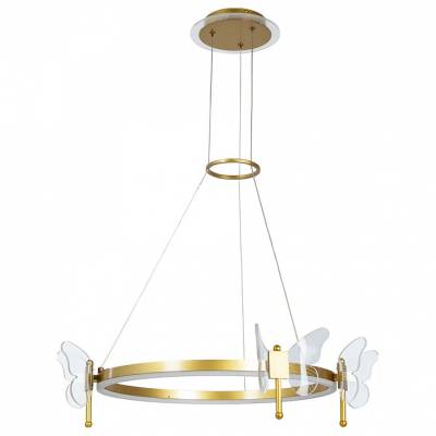 Подвесной светильник Arte Lamp Darcy A2187LM-1GO фото