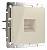 Розетка Ethernet RJ-45 без рамки Werkel Слоновая кость W1181003 фото
