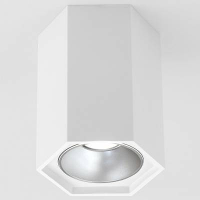 Накладной светильник Elektrostandard 25036/LED 25036/LED фото
