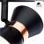 Спот Arte Lamp Baltimore A1406AP-2BK фото