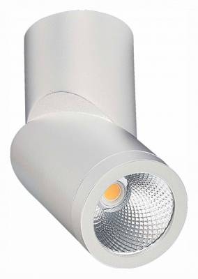 Светильник на штанге ST-Luce ST650 ST650.532.10 фото
