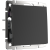 WL08-SW-1G-2W/Выключатель одноклавишный проходной (черный матовый) фото