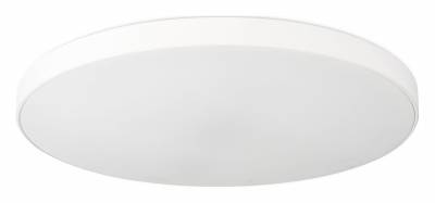 Накладной светильник SIMPLE STORY 1204 1204-LED48CL фото