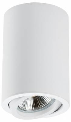 Накладной светильник Lightstar Rullo 214406 фото