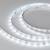 Лента светодиодная Arlight 035698 в EL DECO Лента светодиодная Arlight 035698 фото