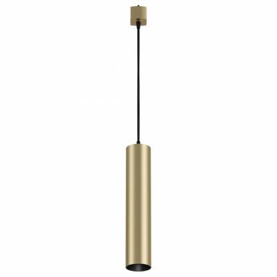 Подвесной светильник Maytoni Focus TR025-1-GU10-MG фото