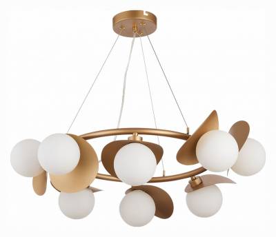 Подвесная люстра EVOLUCE Bolzano SLE220503-08 фото