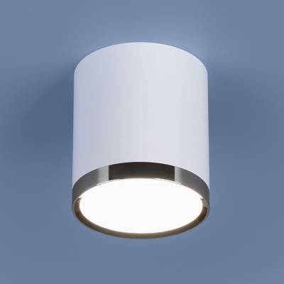 Накладной светильник Elektrostandard DLR024 a039017