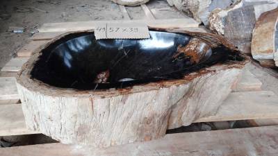 Раковины из окаменелого дерева 55-59 см