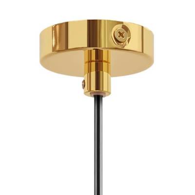 Подвесной светильник Lightstar Loft 765018 фото