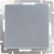 WL06-SW-1G/Выключатель одноклавишный (серебряный) фото