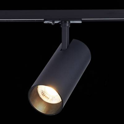Светильник на штанге ST-Luce Mono ST350.436.30.36 фото