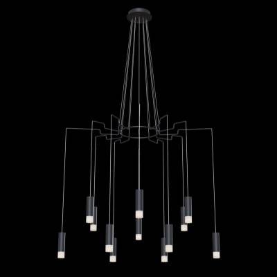 Подвесная люстра Maytoni Davida MOD035PL-12B фото