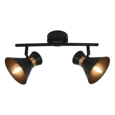 Спот Arte Lamp Baltimore A1406AP-2BK фото