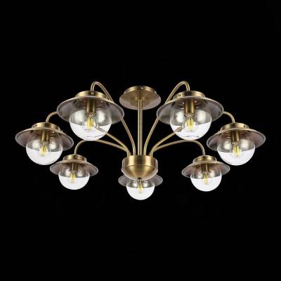 Потолочная люстра EVOLUCE Garonni SLE110102-07 фото