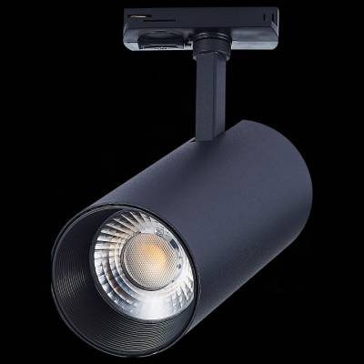 Светильник на штанге ST-Luce Mono ST350.446.30.36 фото