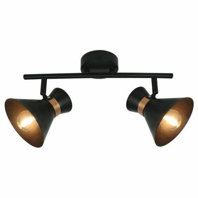 Спот Arte Lamp Baltimore A1406AP-2BK фото