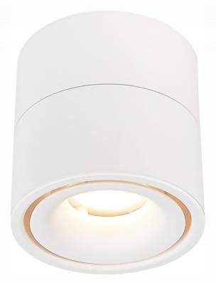 Светильник на штанге ST-Luce ST652 ST652.532.12 фото
