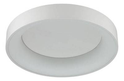 Накладной светильник Odeon Light Sole 4062/50CL