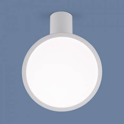 Накладной светильник Elektrostandard DLS029 a047771