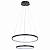 Подвесной светильник Arte Lamp Frodo A2197SP-2BK фото