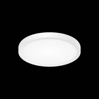 Накладной светильник Citilux Бейсик CL738180V