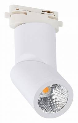 Светильник на штанге ST-Luce ST650 ST650.536.10 фото