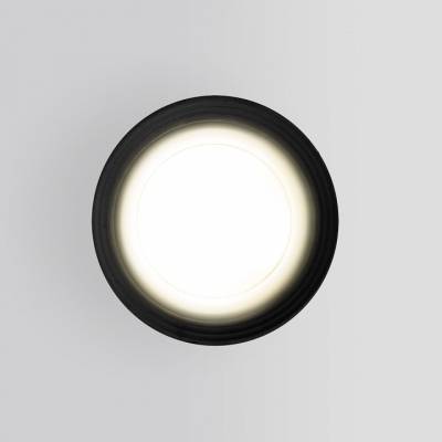Накладной светильник Elektrostandard Light 35128/H черный фото