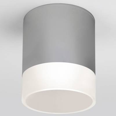 Накладной светильник Elektrostandard Light LED 35140/H серый фото