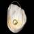 Накладной светильник Loft it Clam 10043 White фото