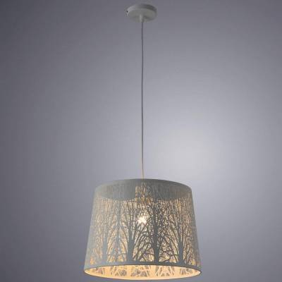 Подвесной светильник Arte Lamp Celesta A2769SP-1WH фото