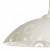 Подвесной светильник Arte Lamp Cucina A3320SP-1WH фото