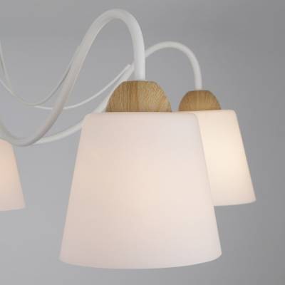 Потолочная люстра Eurosvet Betty 70062/5 белый фото